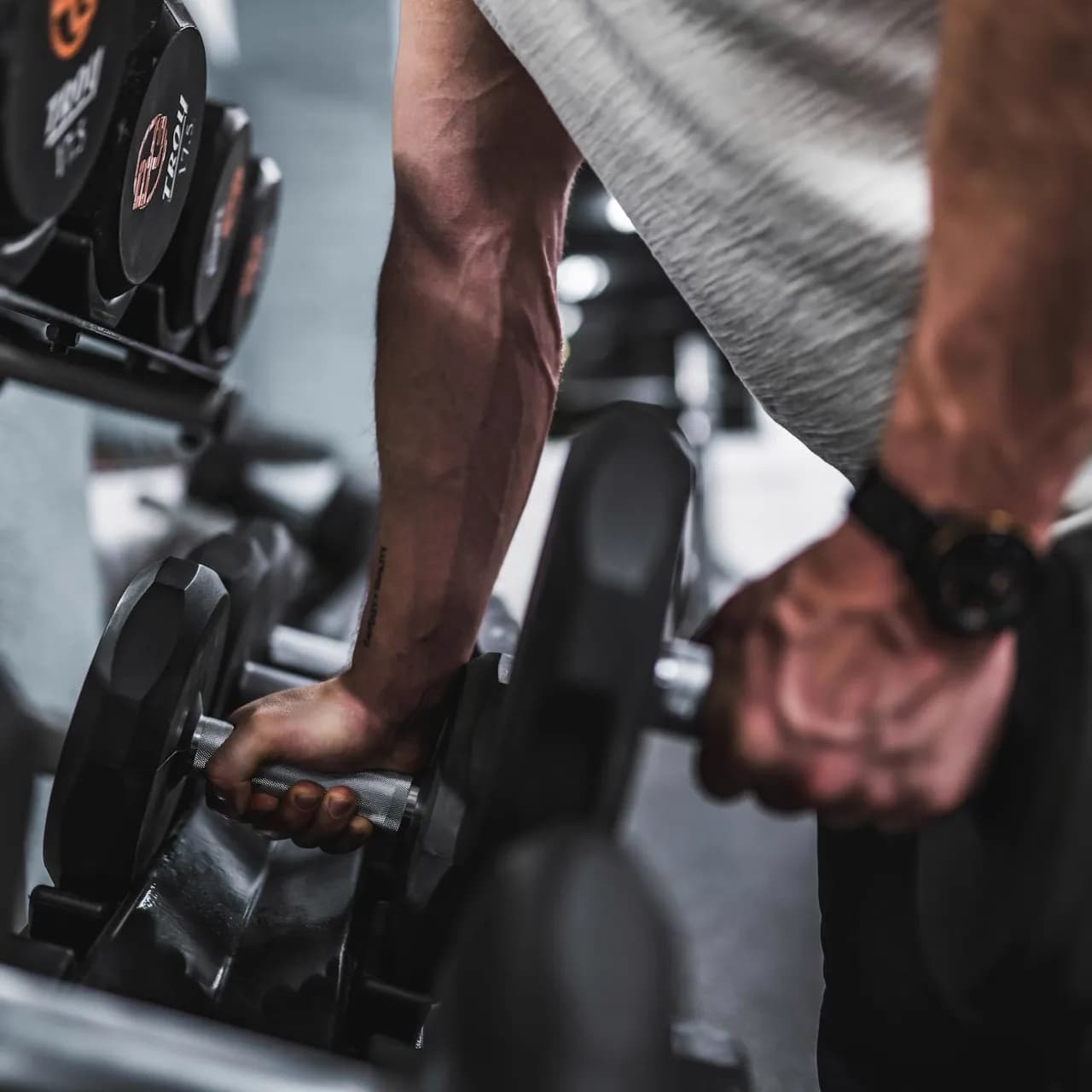 Muscu encadrée